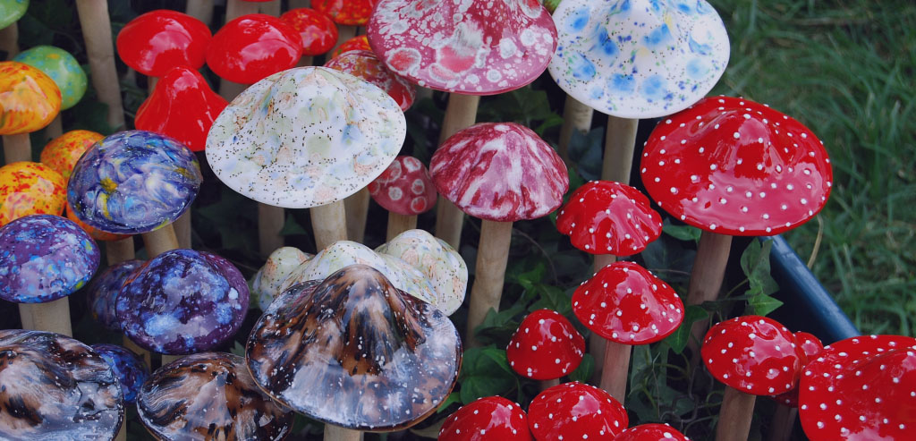 Do Magic Mushrooms Work to Treat Bipolar